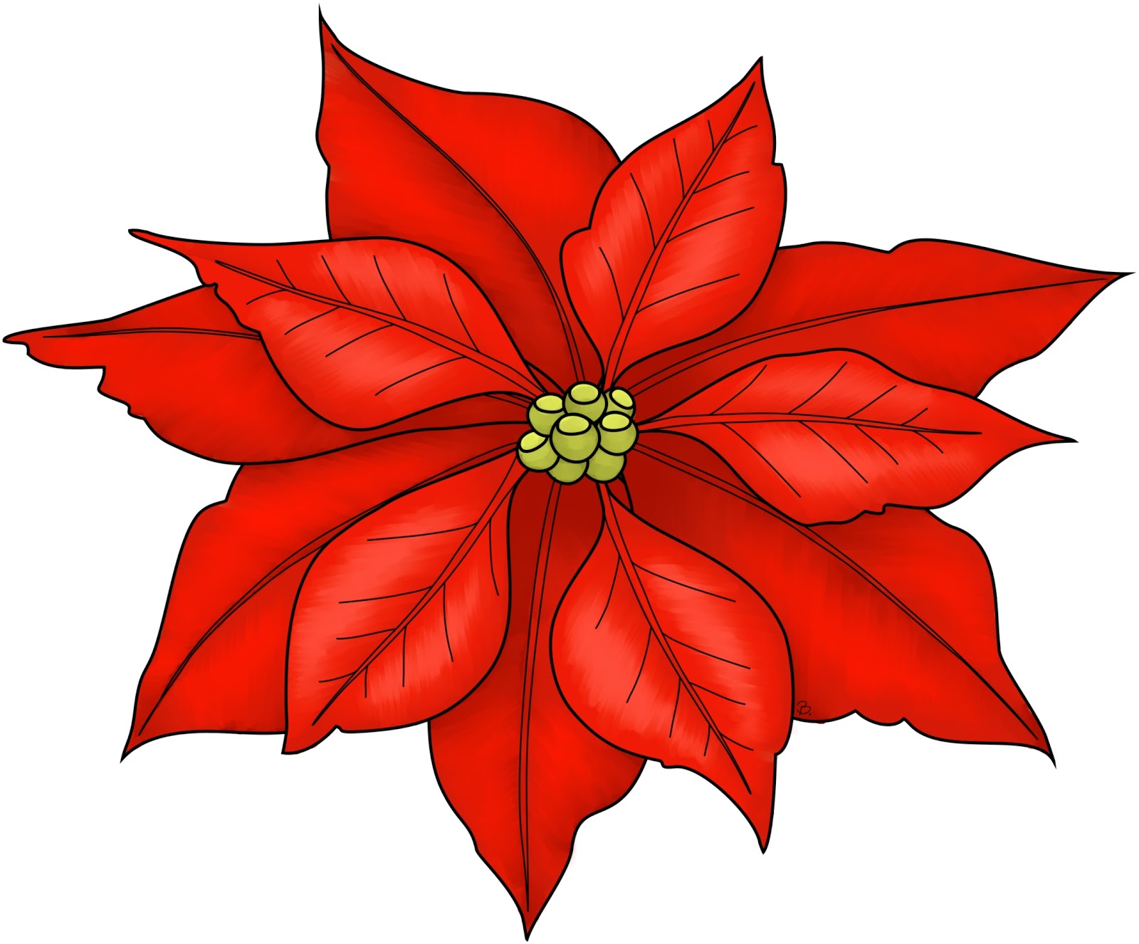 Poinsettia2021