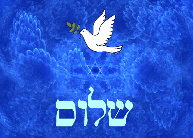 dove--shalom-david-dove