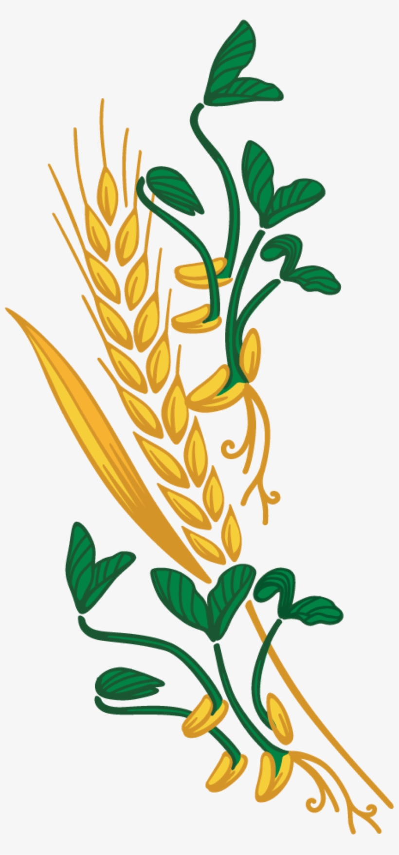 wheat-and-weeds