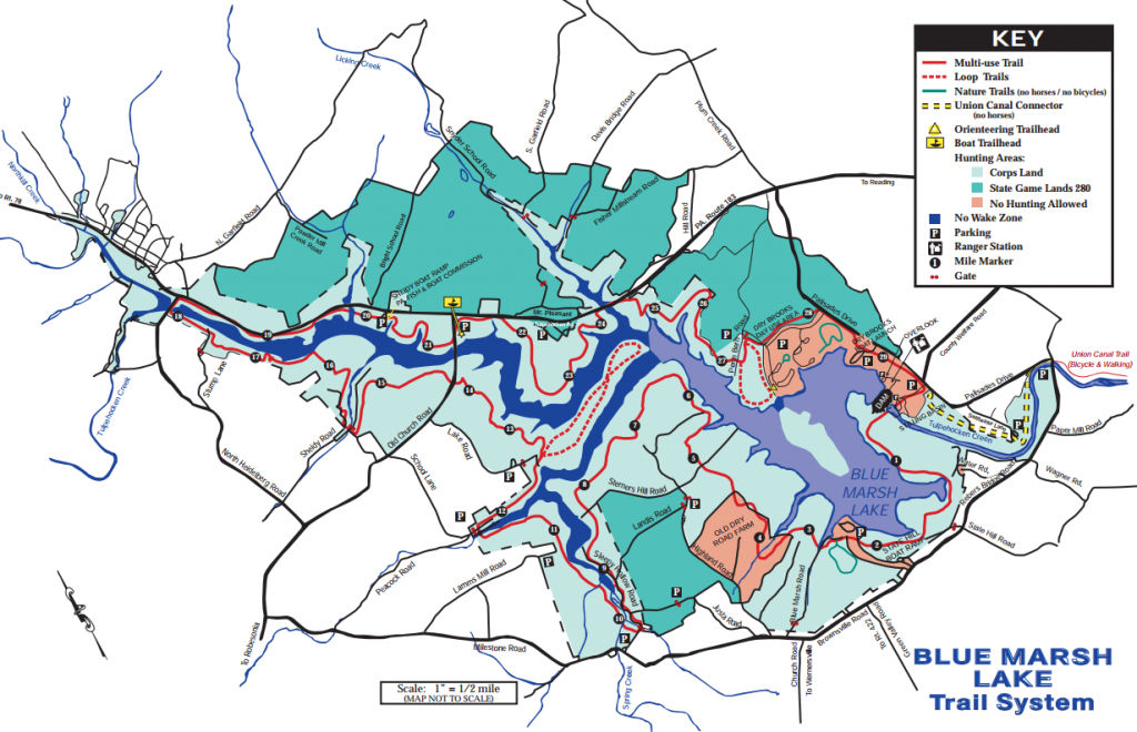 BlueMarsh Map_1024x660