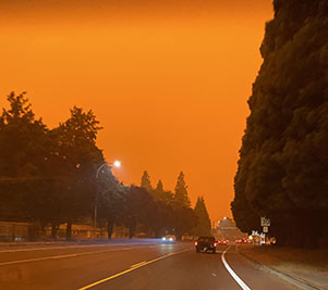 Western Wildfires